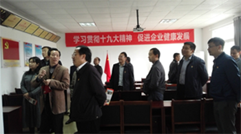 九江市柴桑区委书记骆效农考察ob欧宝·体育党建工作